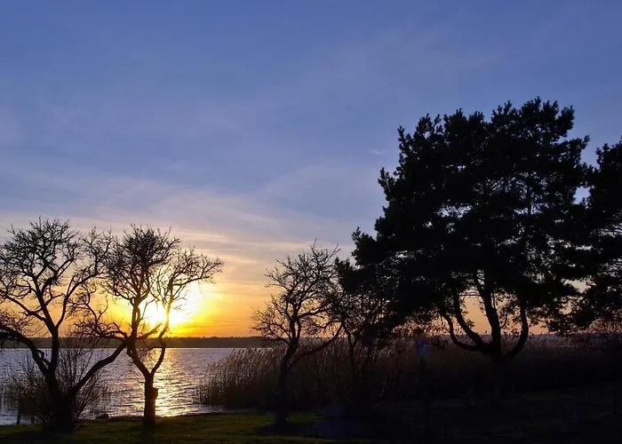 דירה Haus Carmen Auf Usedom Nr.6